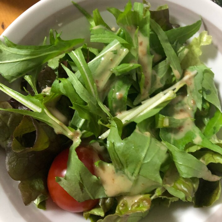 水菜とレタスのサラダ